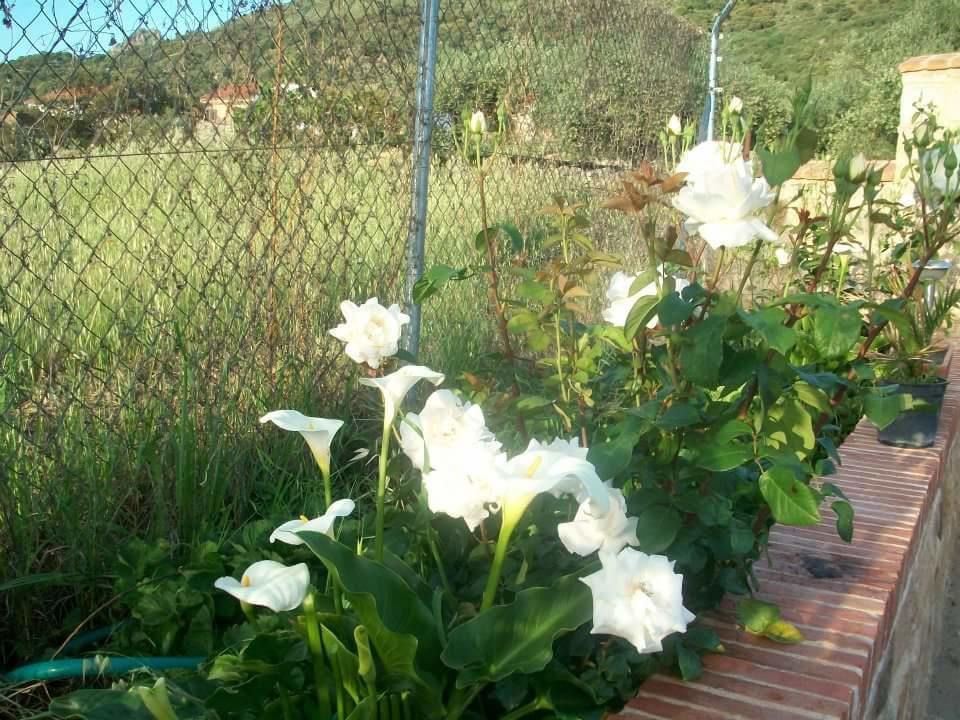 Puerto de Santa Cruz Los Toneles מראה חיצוני תמונה